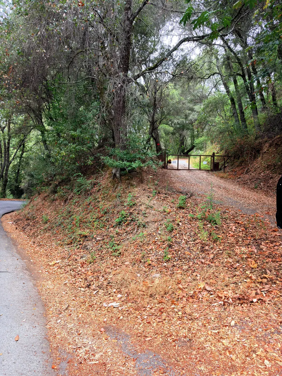The gated entrance off Eureka Canyon Road