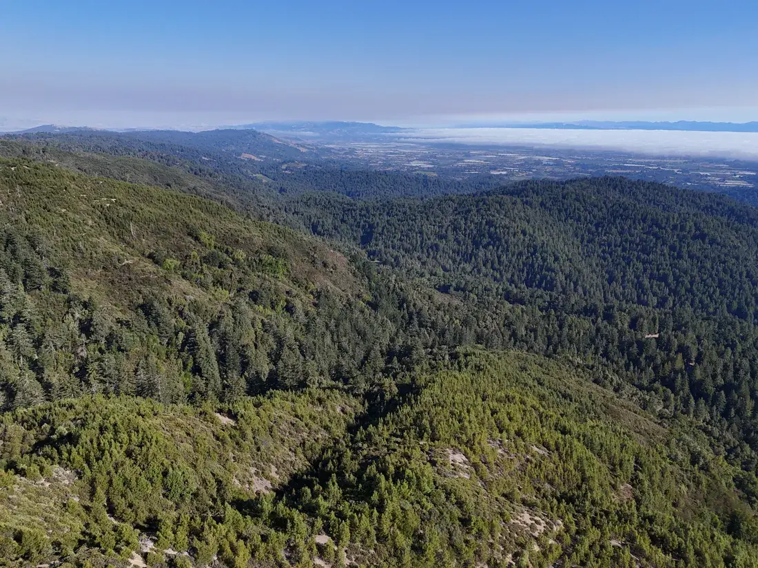 Ridge after ridge toward the Monterey Bay horizon